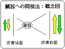 ���퓙�ւ̊Ԑږ@�K�p�̊T�O�}